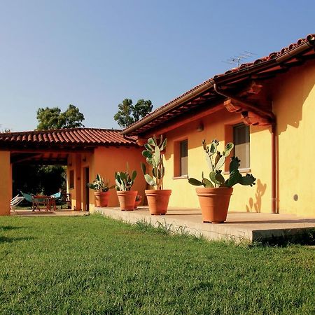 Le Pettegole Del Boschetto Villa Кастильоне дела Пеская Екстериор снимка